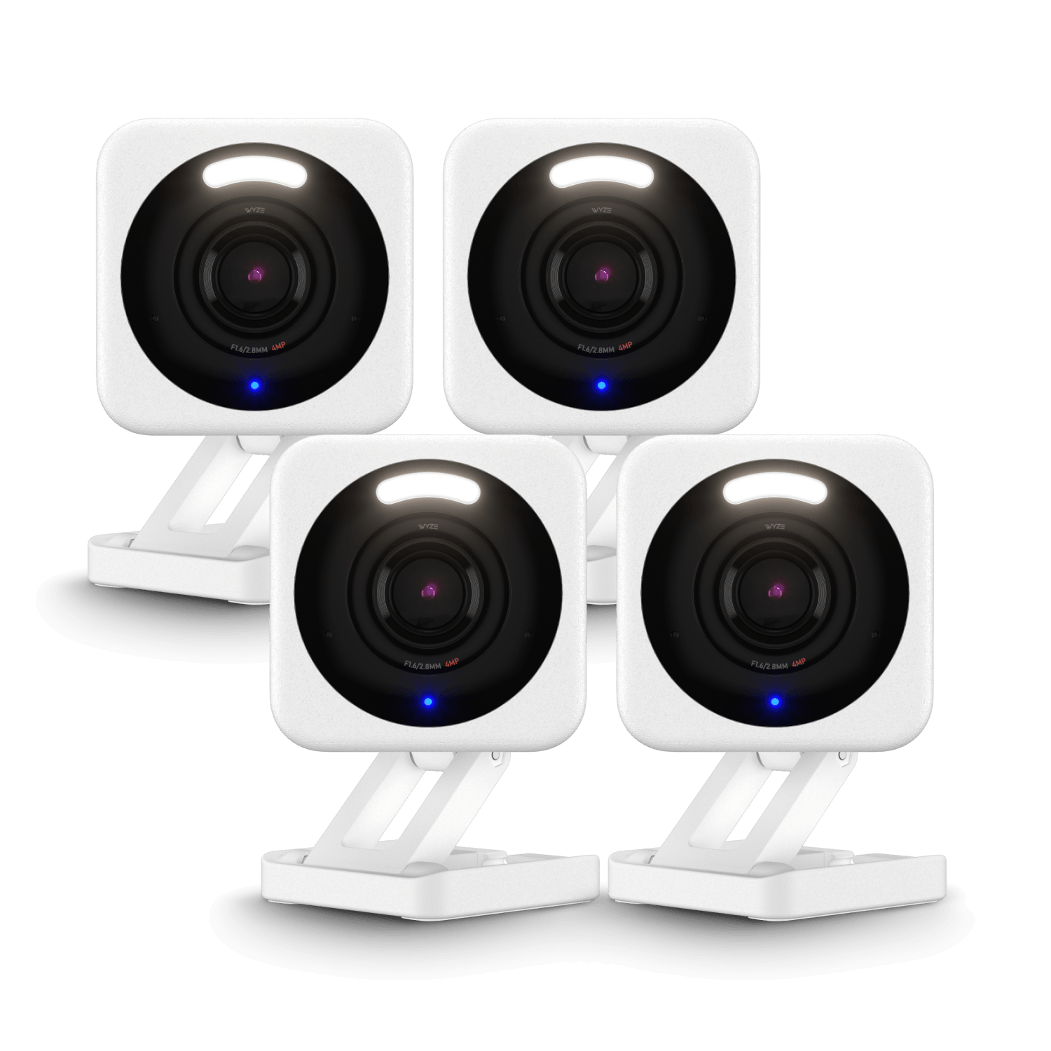 Small Business Monitoring Basic