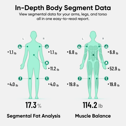 Wyze Scale BodyScan